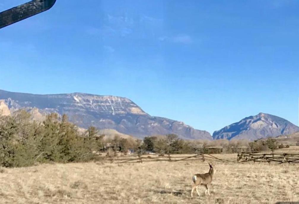 Отель Yellowstone Cutthroat Guest Ranch Вапити Экстерьер фото