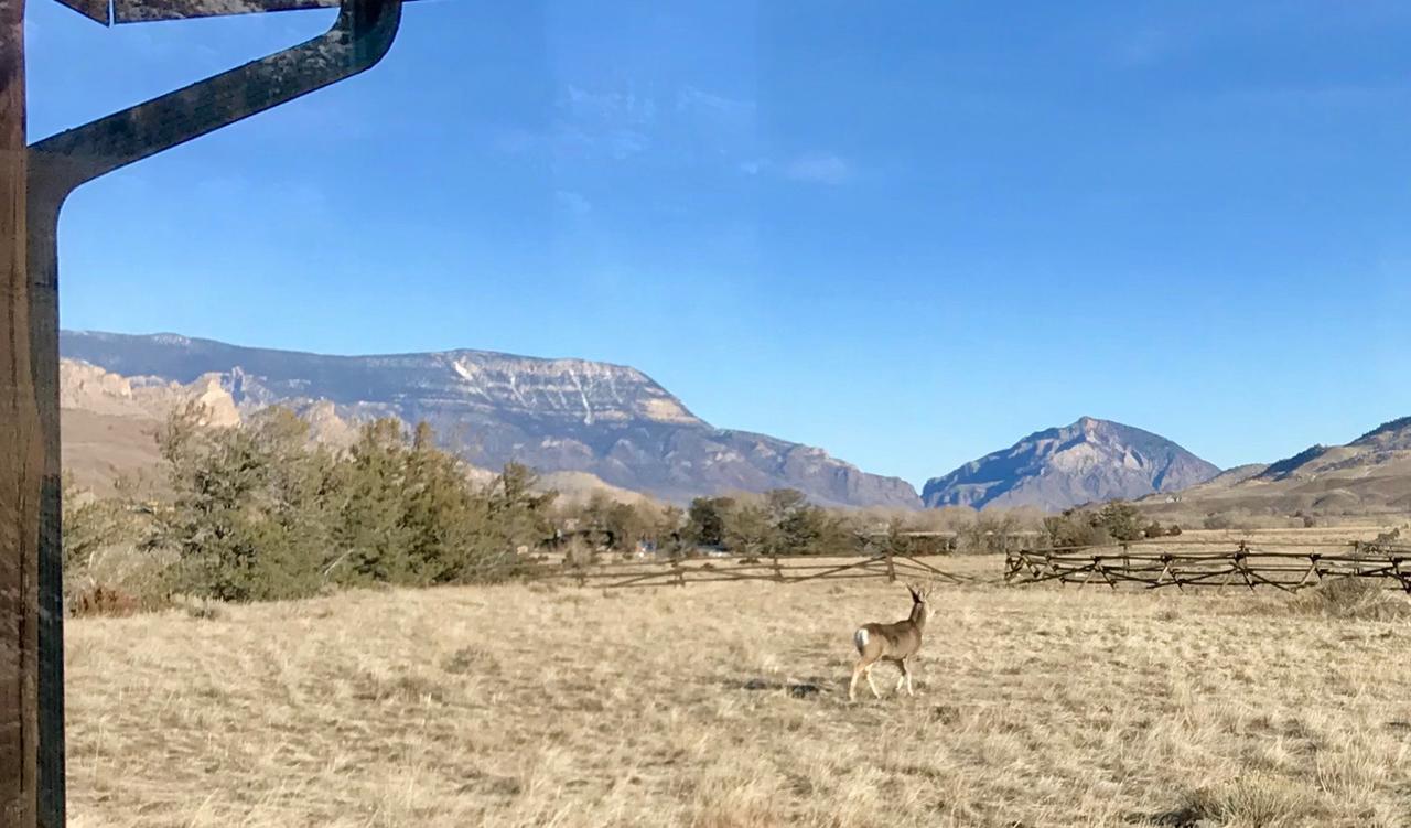 Отель Yellowstone Cutthroat Guest Ranch Вапити Экстерьер фото